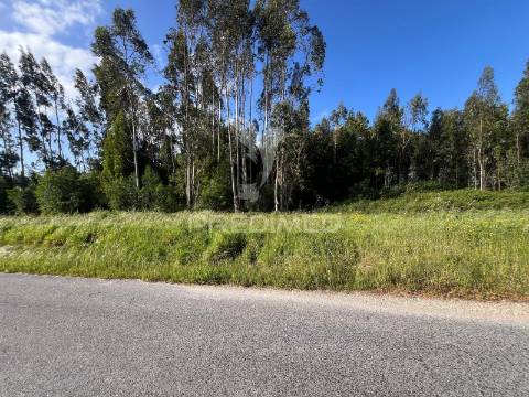 Terreno para construção com 2310 m2 em mira, coimbra