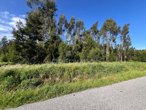 Terreno para construção com 2310 m2 em mira, coimbra