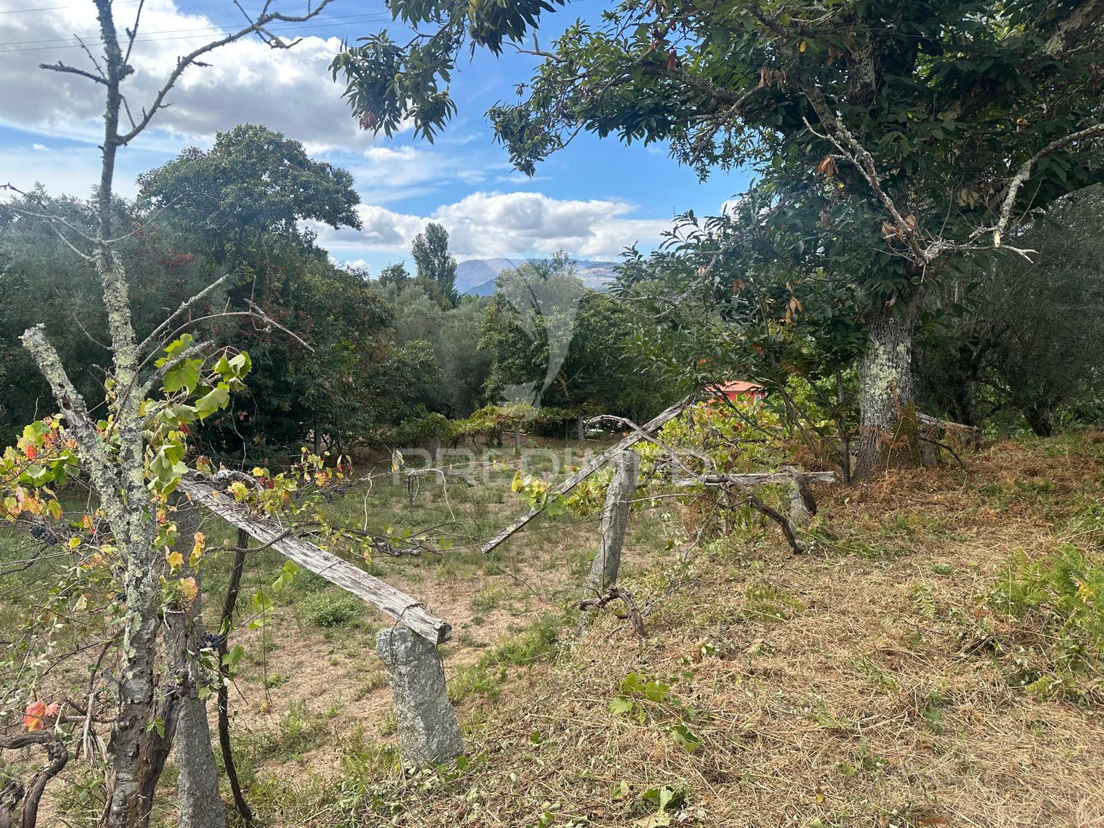 Quinta rural em ponte de lima – moradia t6 com 15.000 m² de terreno