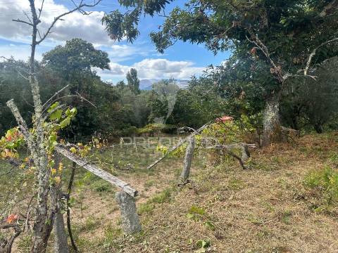 Quinta rural em ponte de lima – moradia t6 com 15.000 m² de terreno