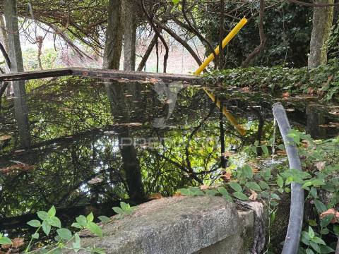 Quinta rural em ponte de lima – moradia t6 com 15.000 m² de terreno