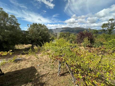 Quinta rural em ponte de lima – moradia t6 com 15.000 m² de terreno