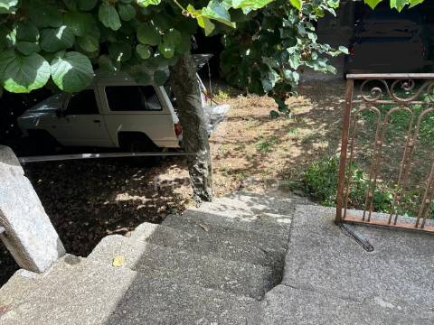 Quinta rural em ponte de lima – moradia t6 com 15.000 m² de terreno