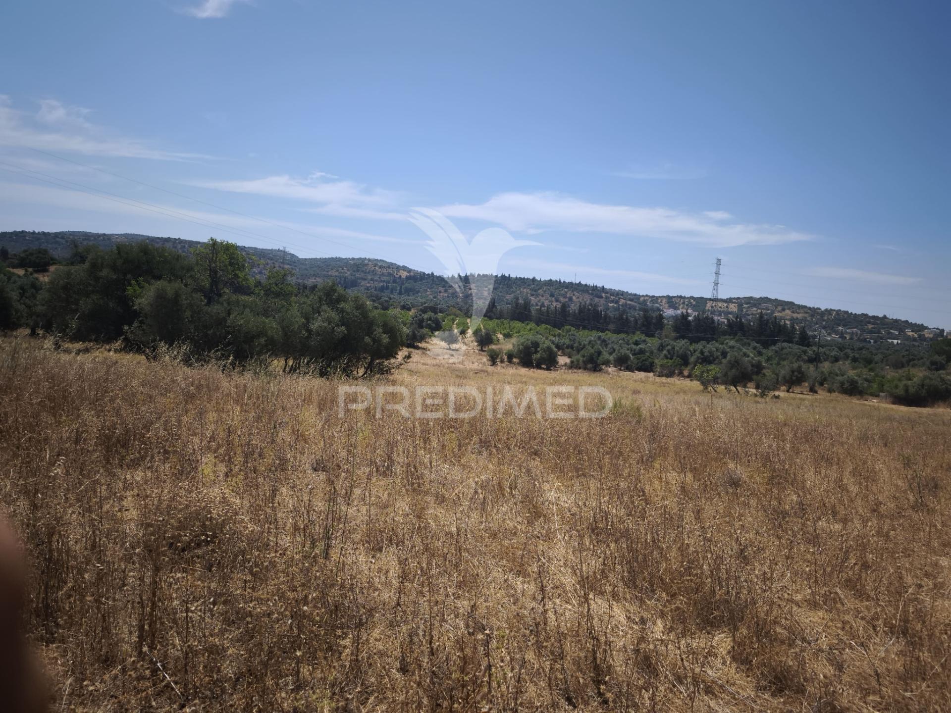 Paderne - moradia com cavalariças- tradição, potencial e localização privilegiada