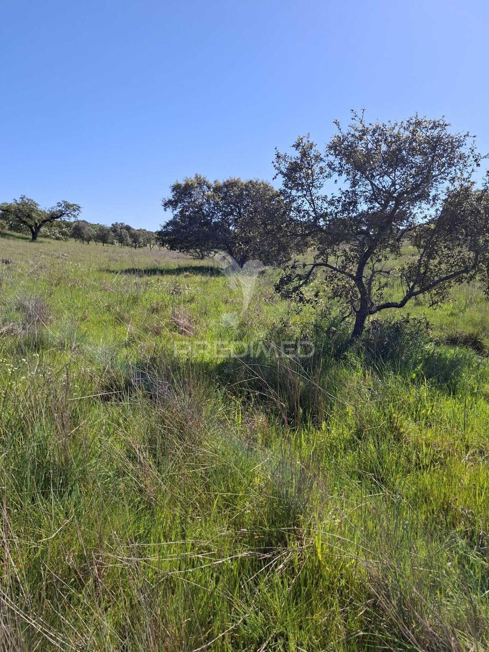 Terreno rustico com 4,625 hectares