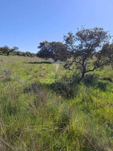 Terreno rustico com 4,625 hectares