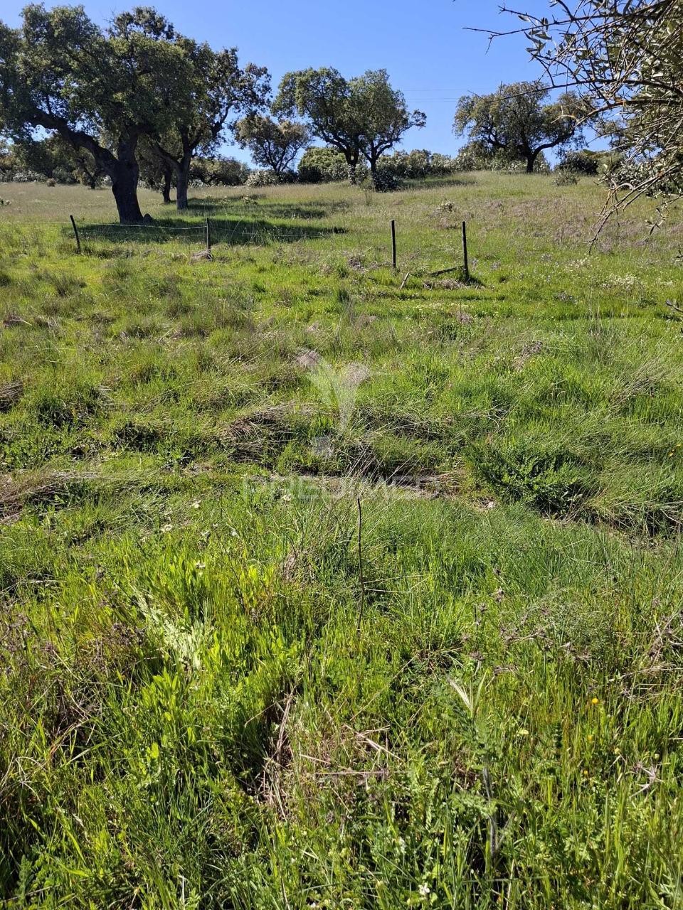 Terreno rustico com 4,625 hectares