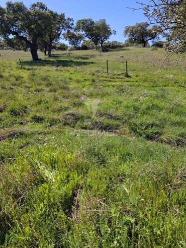 Terreno rustico com 4,625 hectares