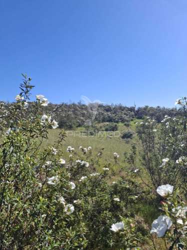 Terreno rustico com 4,625 hectares