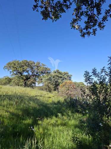 Terreno rustico com 4,625 hectares