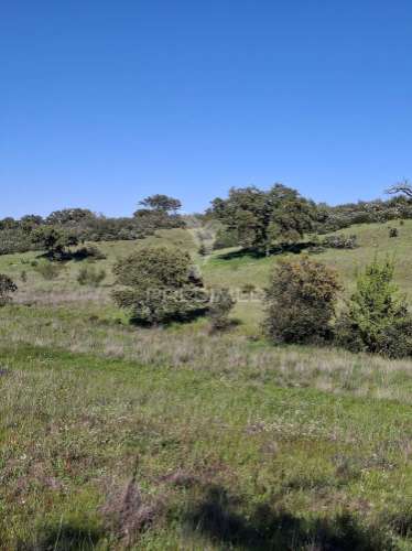 Terreno rustico com 4,625 hectares