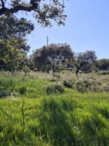 Terreno rustico com 4,625 hectares