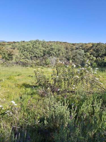 Terreno rustico com 4,625 hectares