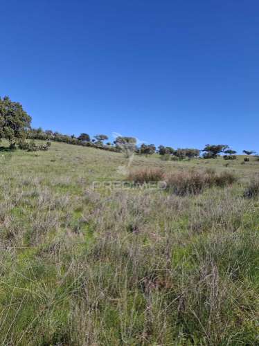 Terreno rustico com 4,625 hectares