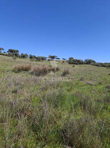 Terreno rustico com 4,625 hectares