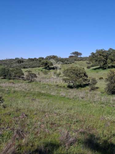 Terreno rustico com 4,625 hectares