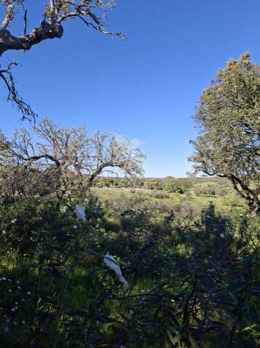Terreno rustico com 4,625 hectares