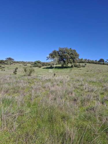 Terreno rustico com 4,625 hectares