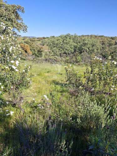 Terreno rustico com 4,625 hectares
