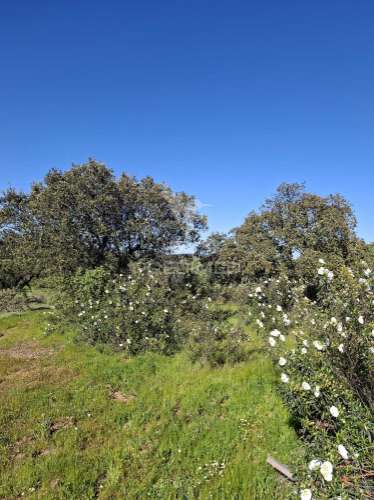 Terreno rustico com 4,625 hectares