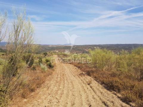 Herdade com artigo urbano