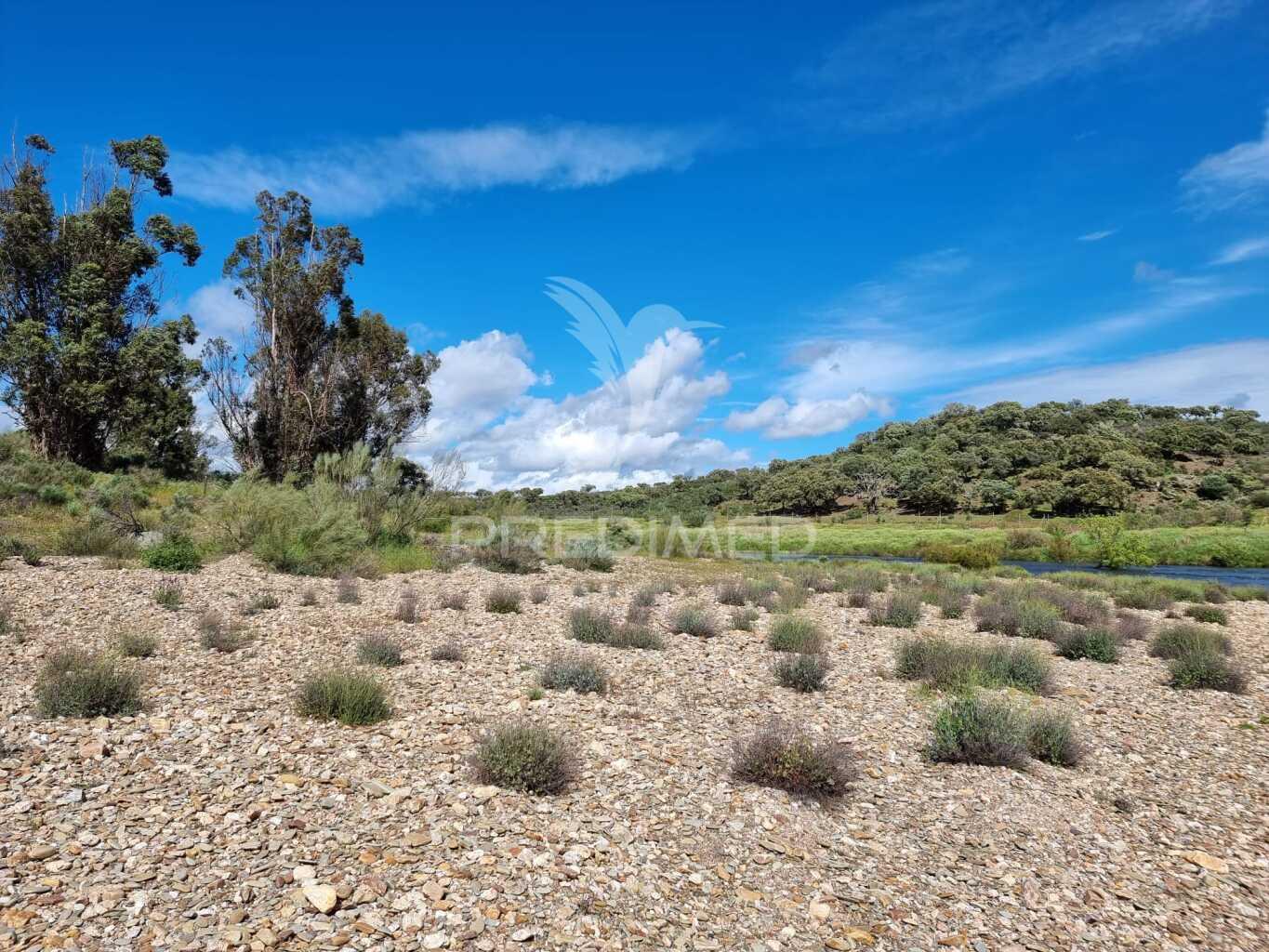 Herdade com artigo urbano