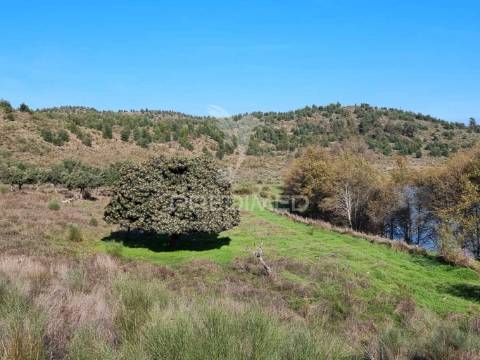 Herdade com artigo urbano