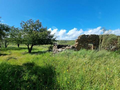 Herdade com artigo urbano