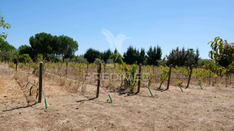 Moradia isolada, tramaga, ponte de sor