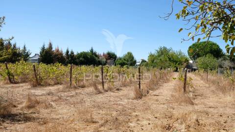 Moradia isolada, tramaga, ponte de sor