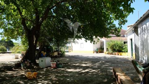 Moradia isolada, tramaga, ponte de sor