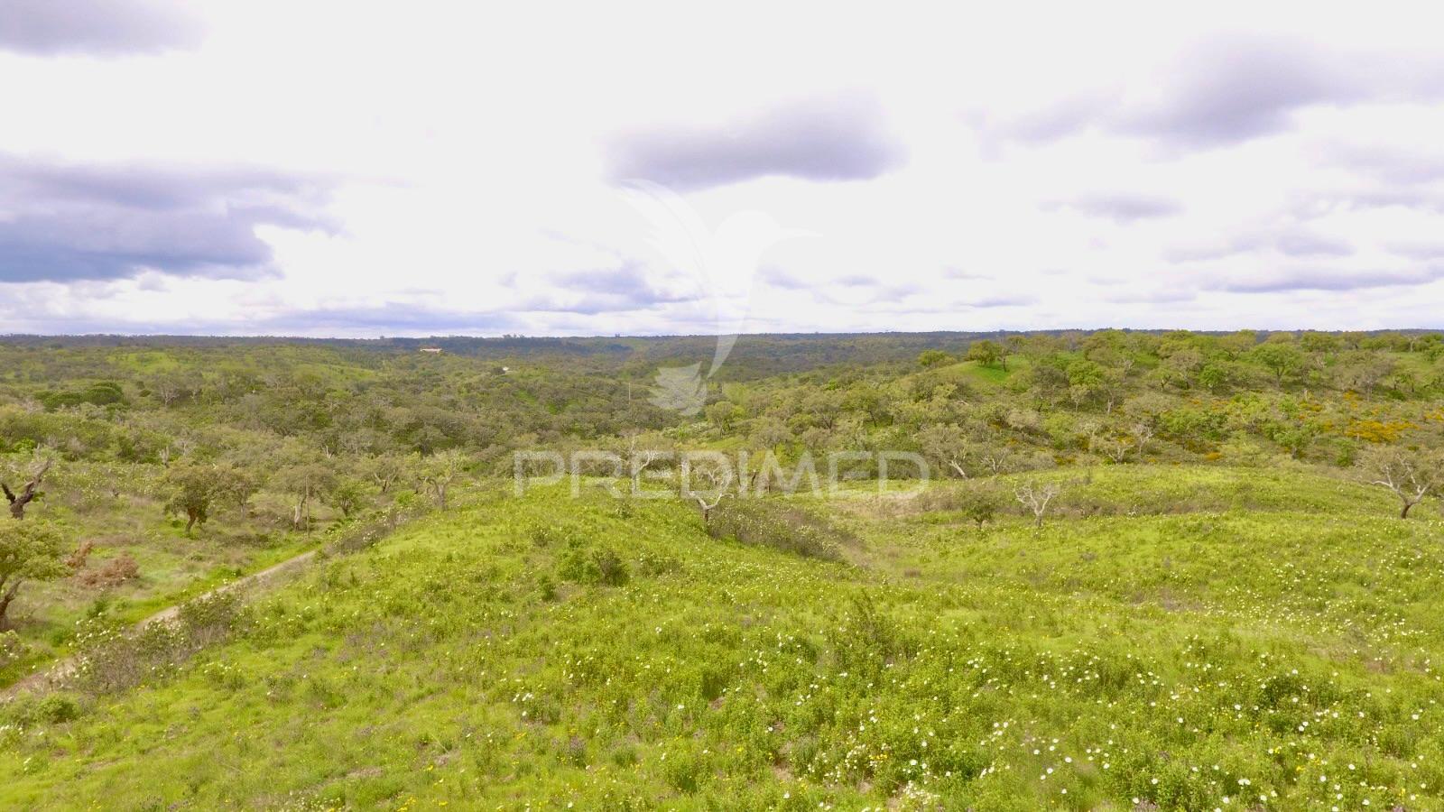 Terreno rustico com 8.5 hectares