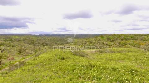 Terreno rustico com 8.5 hectares