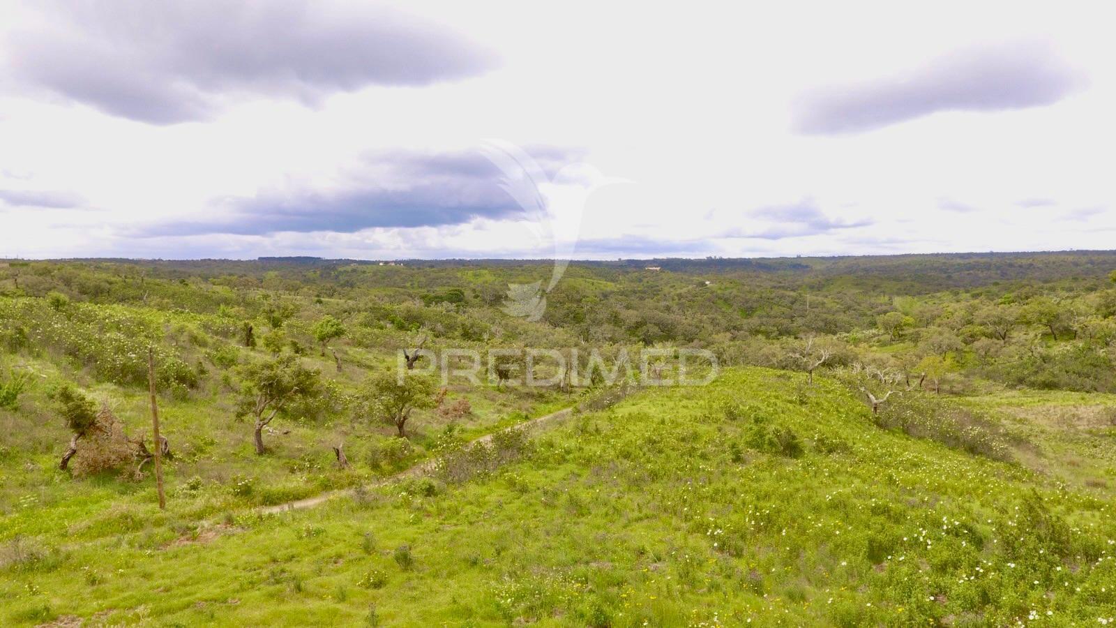 Terreno rustico com 8.5 hectares