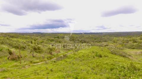 Terreno rustico com 8.5 hectares