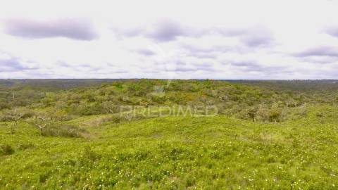 Terreno rustico com 8.5 hectares