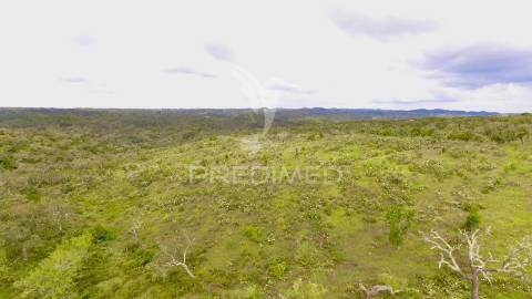 Terreno rustico com 8.5 hectares