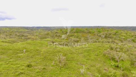 Terreno rustico com 8.5 hectares