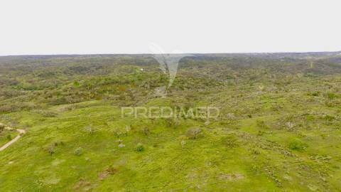 Terreno rustico com 8.5 hectares