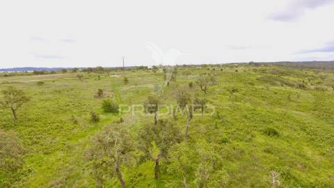 Terreno rustico com 8.5 hectares