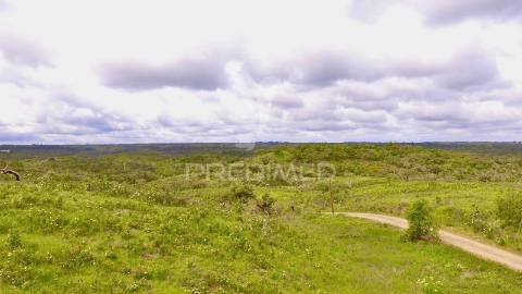 Terreno rustico com 8.5 hectares
