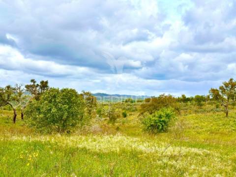 Terreno rustico com 8.5 hectares