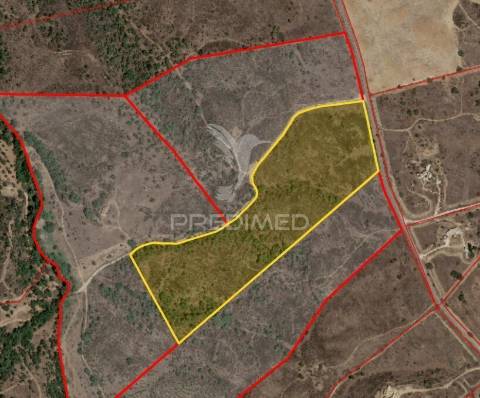 Terreno rustico com 8.5 hectares