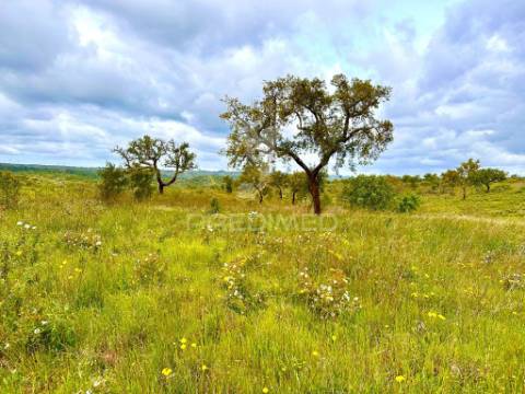 Terreno rustico com 8.5 hectares