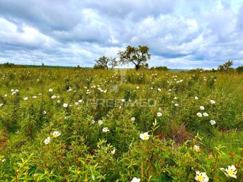 Terreno rustico com 8.5 hectares