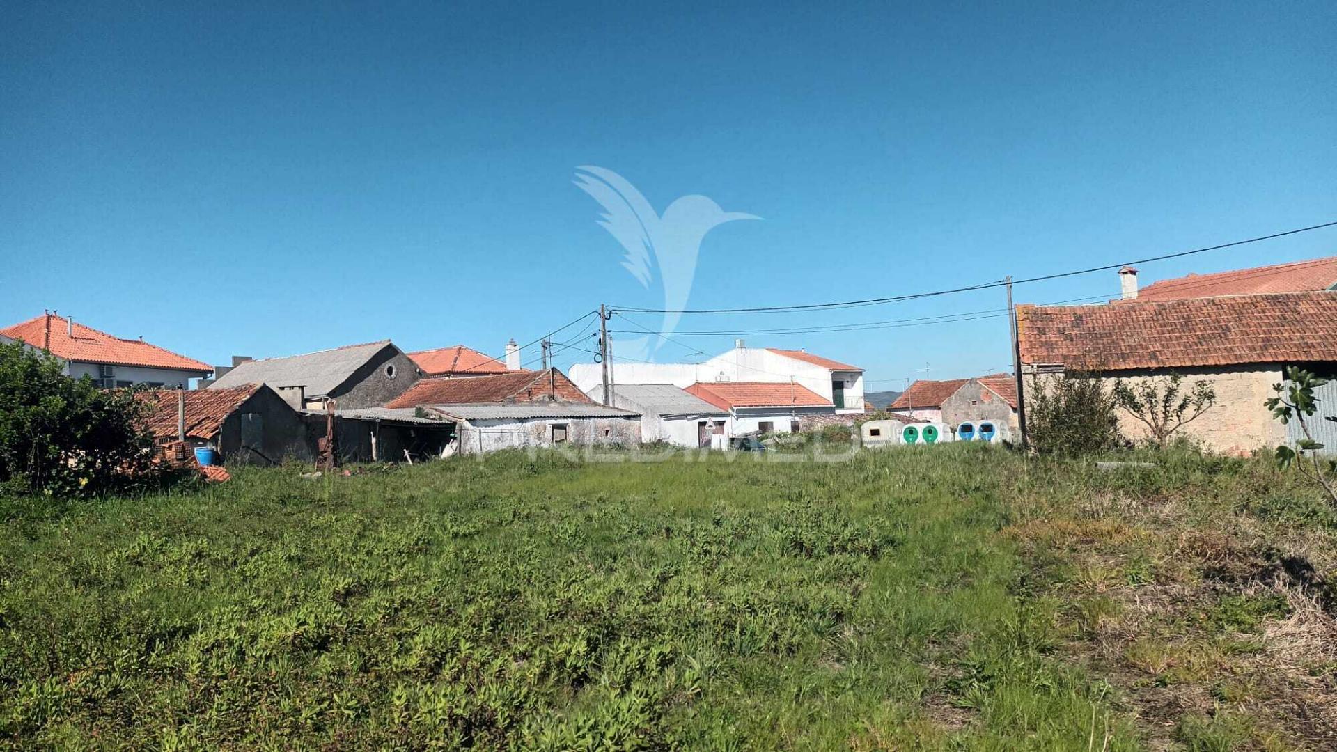 Terreno situado em tojal, porto de mós