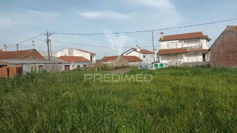 Terreno situado em tojal, porto de mós