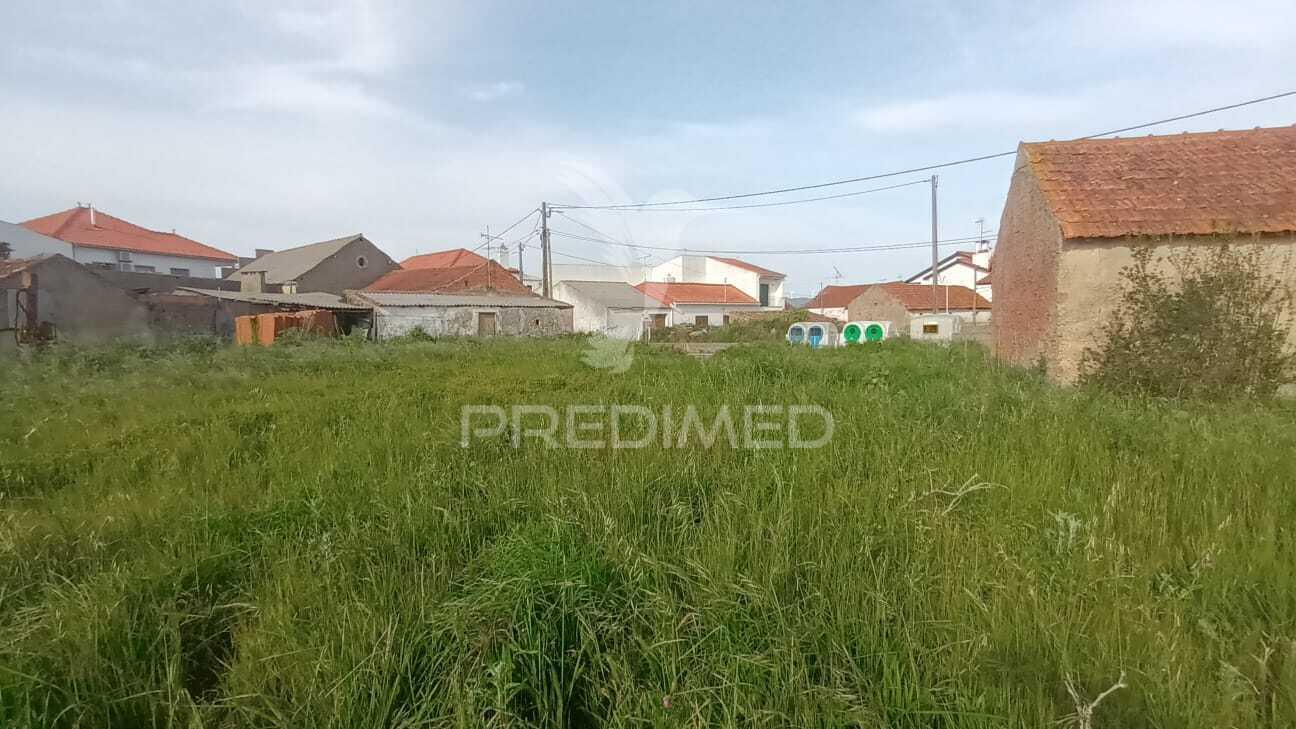 Terreno situado em tojal, porto de mós