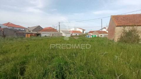 Terreno situado em tojal, porto de mós