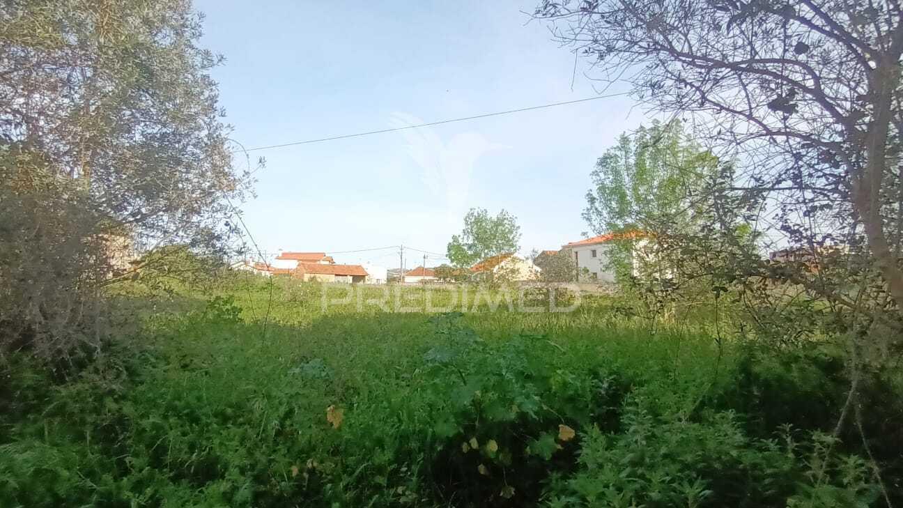 Terreno situado em tojal, porto de mós